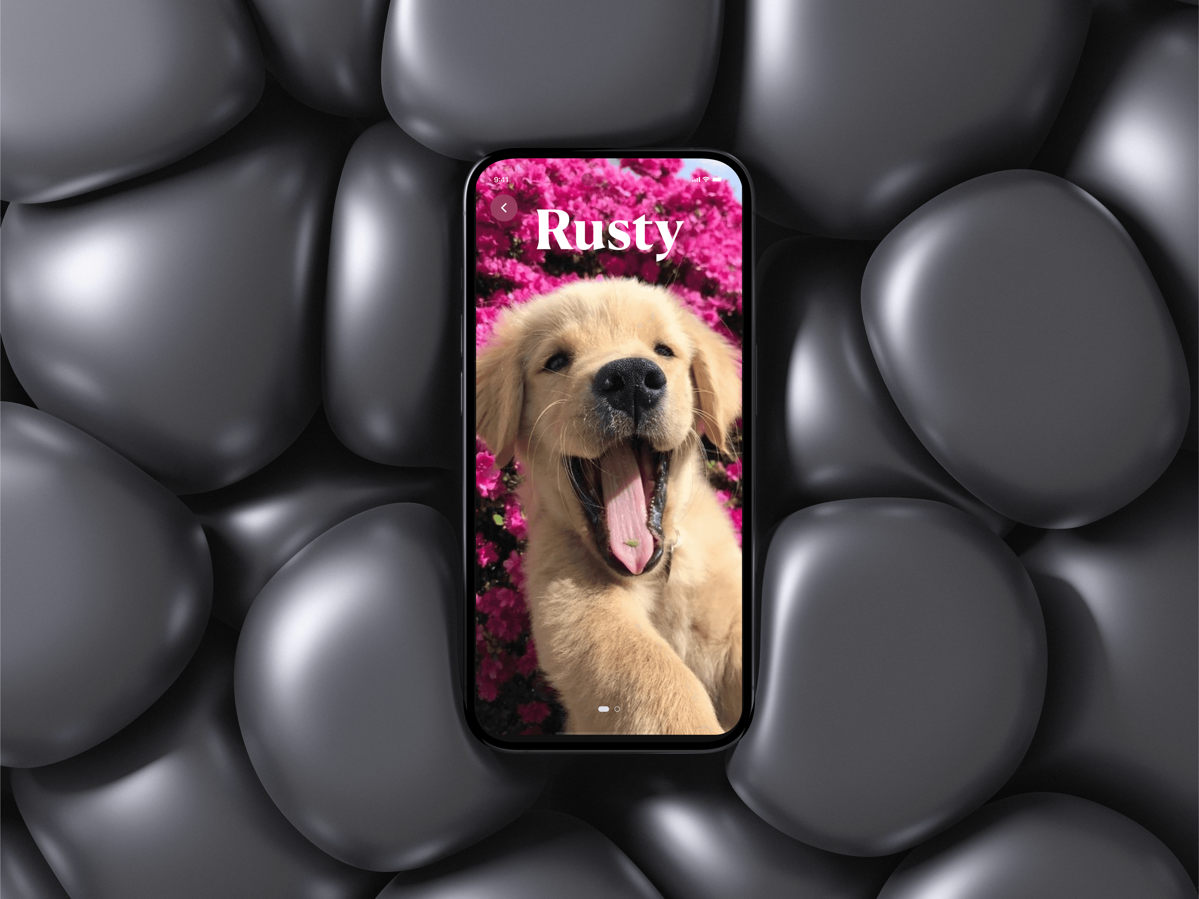 PawPal cover