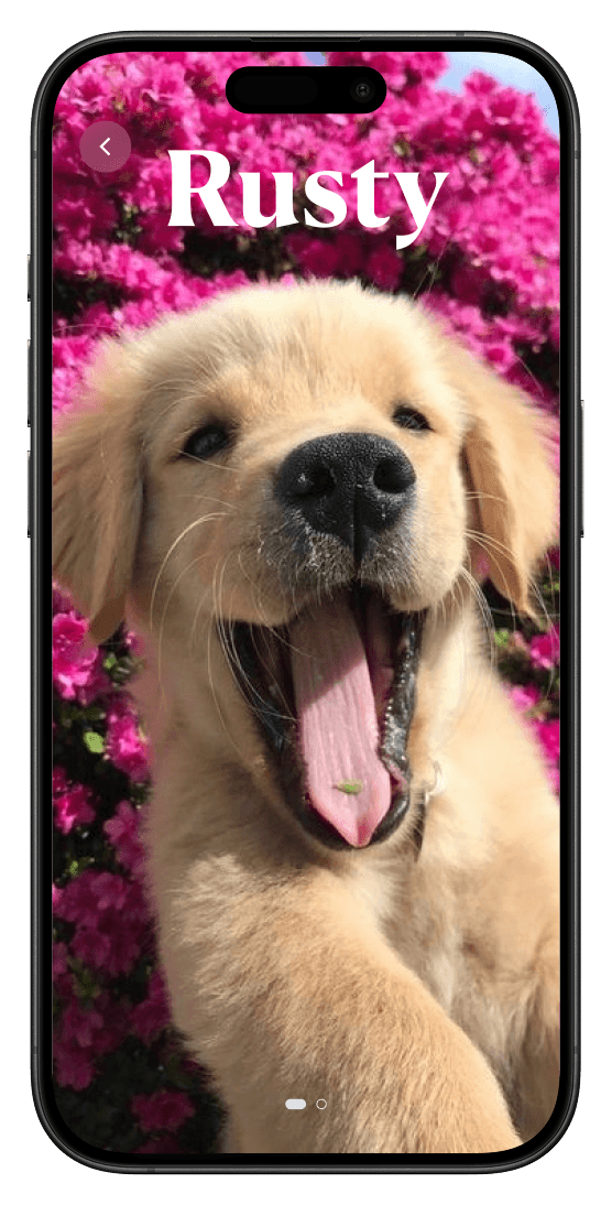 PawPal